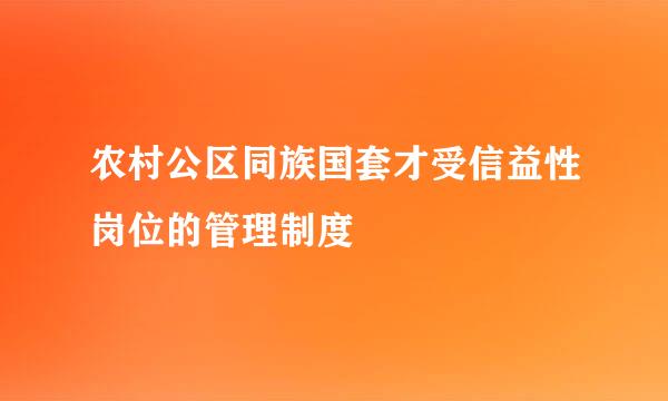 农村公区同族国套才受信益性岗位的管理制度