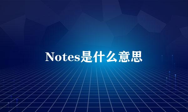 Notes是什么意思