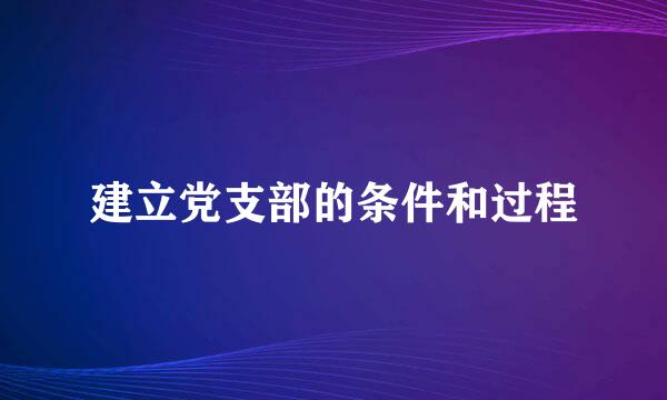 建立党支部的条件和过程