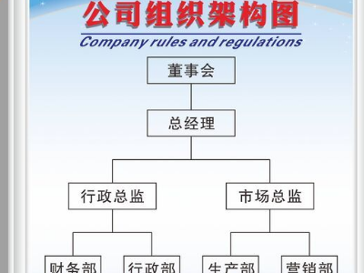 公司组织结构怎么写？