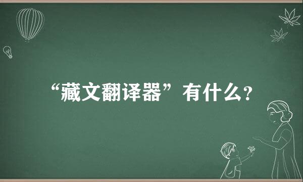 “藏文翻译器”有什么？