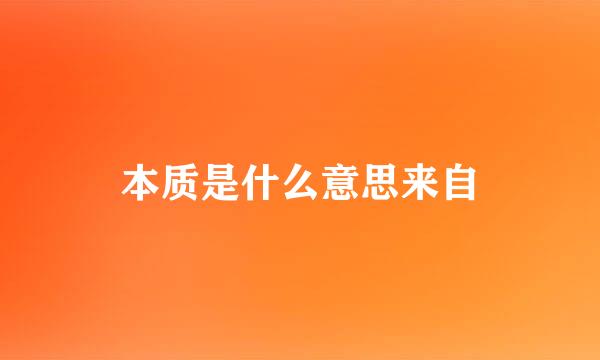 本质是什么意思来自