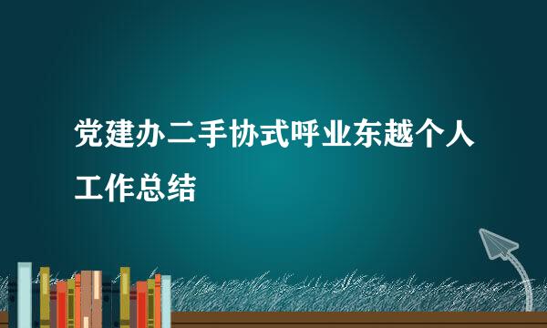 党建办二手协式呼业东越个人工作总结