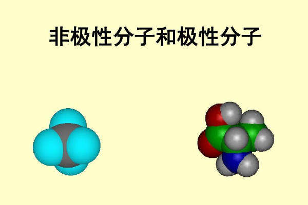 极性分子和非极性分子有哪些