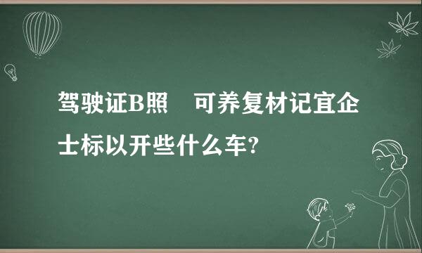 驾驶证B照 可养复材记宜企士标以开些什么车?