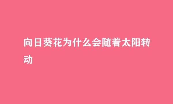 向日葵花为什么会随着太阳转动