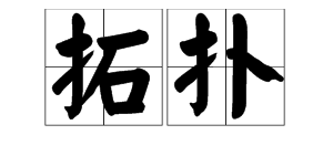 “拓扑”是什么意思？