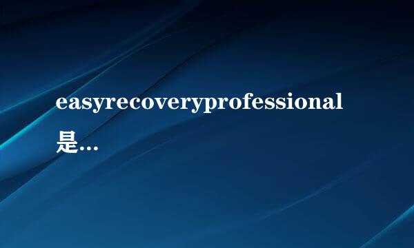 easyrecoveryprofessional是什么1占先判语满慢端石关执6