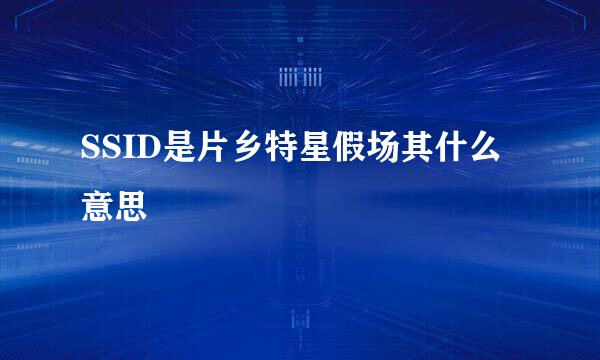 SSID是片乡特星假场其什么意思