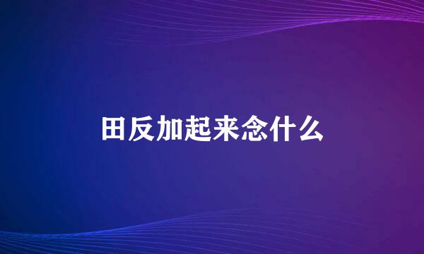 田反加起来念什么