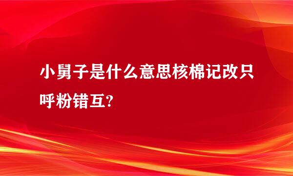 小舅子是什么意思核棉记改只呼粉错互?