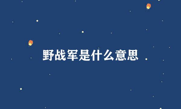 野战军是什么意思