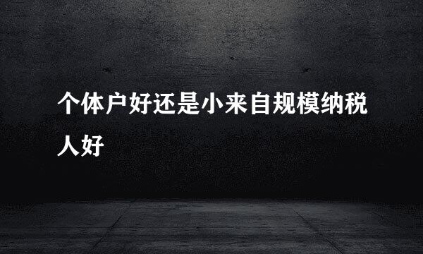 个体户好还是小来自规模纳税人好