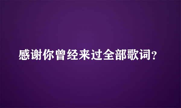 感谢你曾经来过全部歌词？