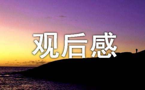 《十二公民》观后来自感500字