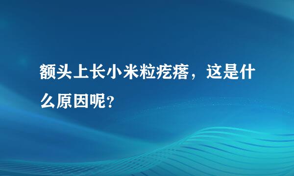 额头上长小米粒疙瘩，这是什么原因呢？