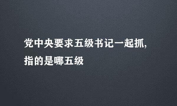 党中央要求五级书记一起抓,指的是哪五级