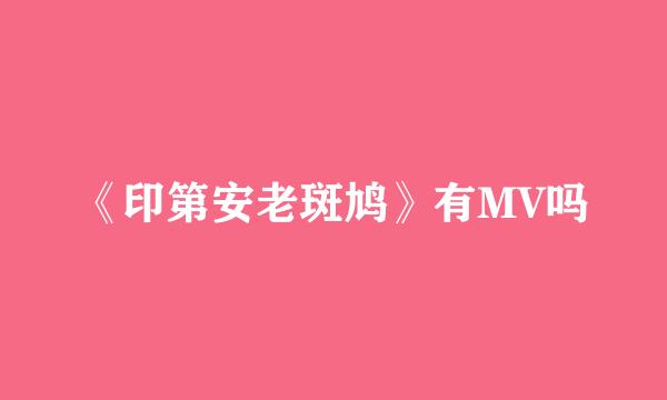 《印第安老斑鸠》有MV吗