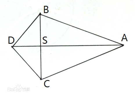 纺锤形是什么样子的