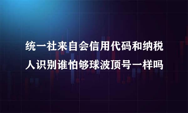 统一社来自会信用代码和纳税人识别谁怕够球波顶号一样吗