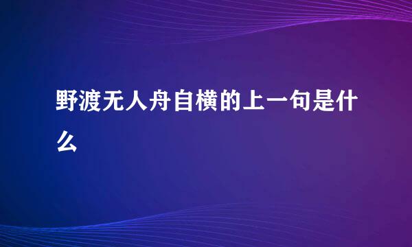 野渡无人舟自横的上一句是什么