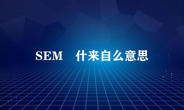 SEM 什来自么意思