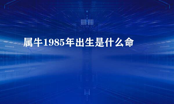 属牛1985年出生是什么命