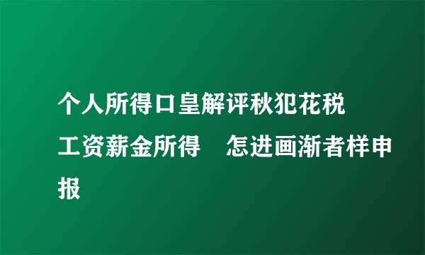 个人所得口皇解评秋犯花税 工资薪金所得 怎进画渐者样申报