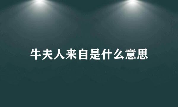 牛夫人来自是什么意思