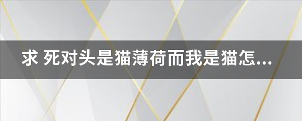 求 死对头是猫薄荷而我是猫怎么破