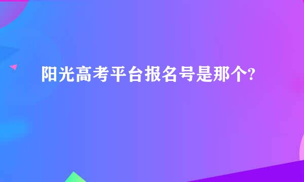 阳光高考平台报名号是那个?