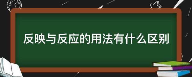 反映与反应的用法有什么区别