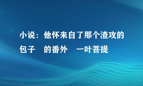 小说：他怀来自了那个渣攻的包子 的番外 一叶菩提