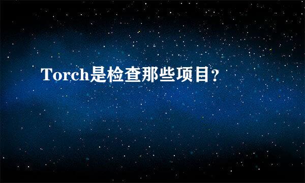 Torch是检查那些项目？