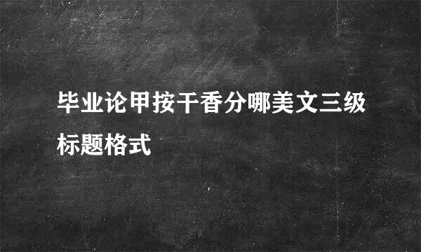 毕业论甲按干香分哪美文三级标题格式