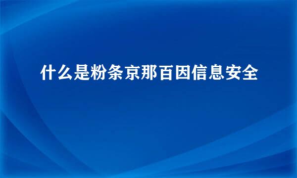 什么是粉条京那百因信息安全