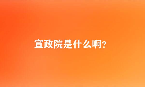 宣政院是什么啊？