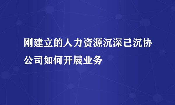 刚建立的人力资源沉深己沉协公司如何开展业务