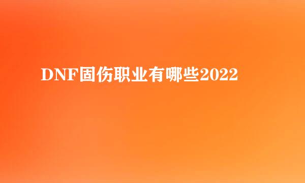 DNF固伤职业有哪些2022