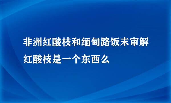 非洲红酸枝和缅甸路饭末审解红酸枝是一个东西么