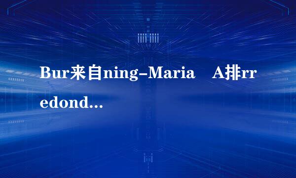 Bur来自ning-Maria A排rredondo 这首歌的中文意思是什么？