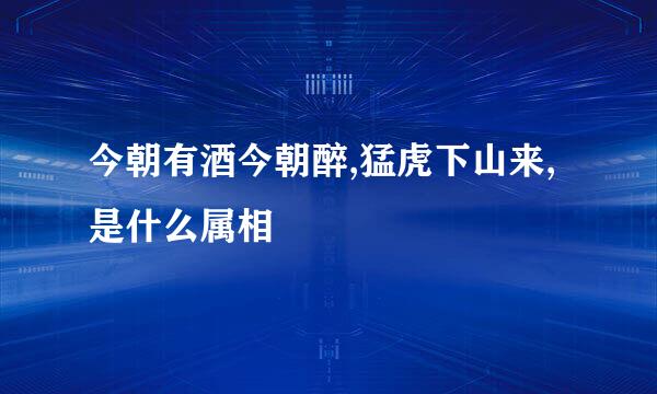 今朝有酒今朝醉,猛虎下山来,是什么属相