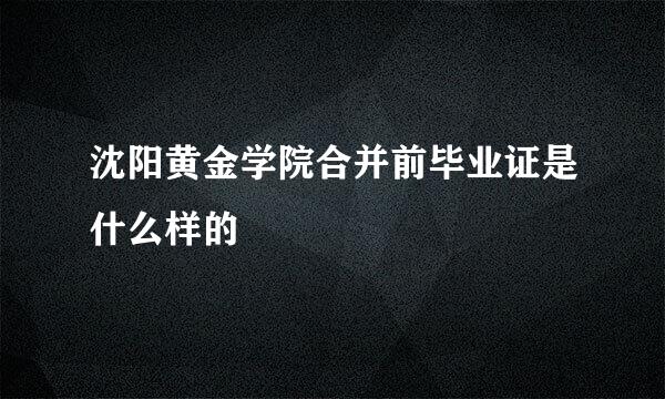 沈阳黄金学院合并前毕业证是什么样的