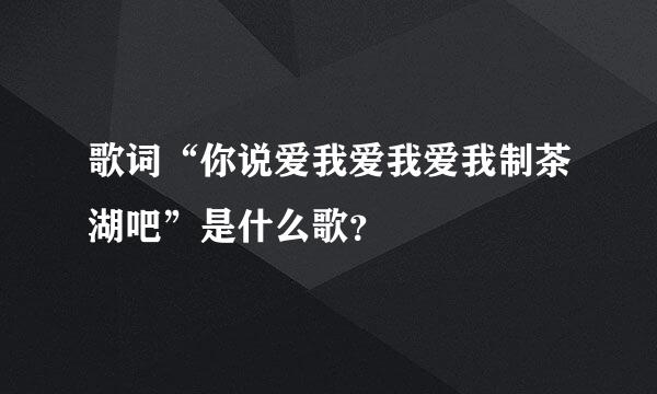 歌词“你说爱我爱我爱我制茶湖吧”是什么歌？