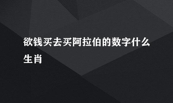 欲钱买去买阿拉伯的数字什么生肖