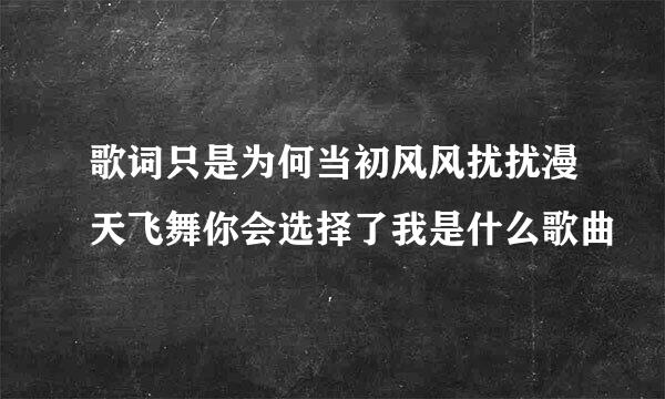 歌词只是为何当初风风扰扰漫天飞舞你会选择了我是什么歌曲