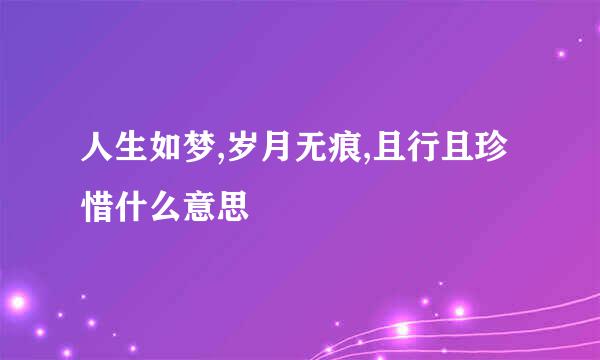 人生如梦,岁月无痕,且行且珍惜什么意思