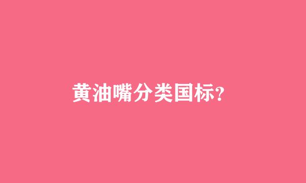 黄油嘴分类国标？