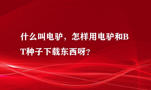 什么叫电驴，怎样用电驴和BT种子下载东西呀？