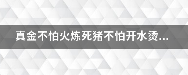 真金不怕火炼死猪不怕开水烫,是说哪种动物?